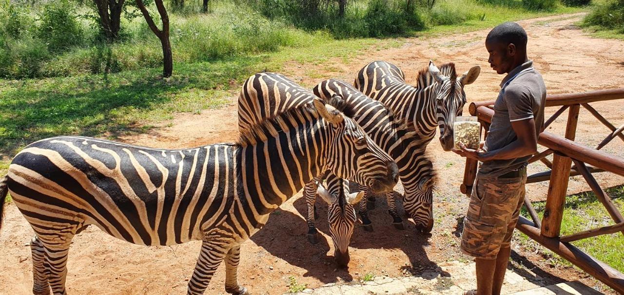 Giraffe Plains Villa Marloth Park Luaran gambar