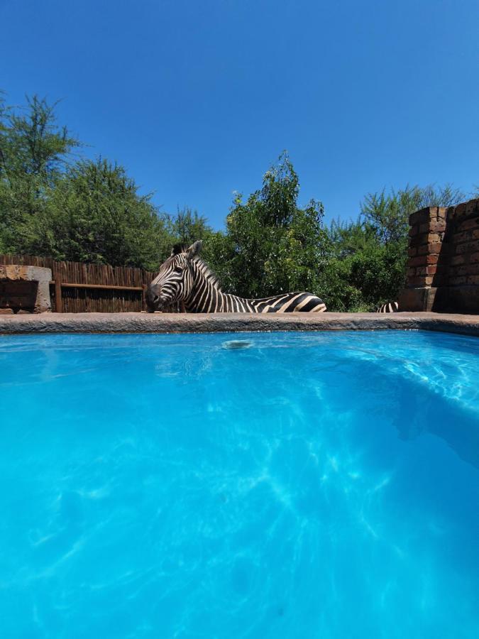 Giraffe Plains Villa Marloth Park Luaran gambar