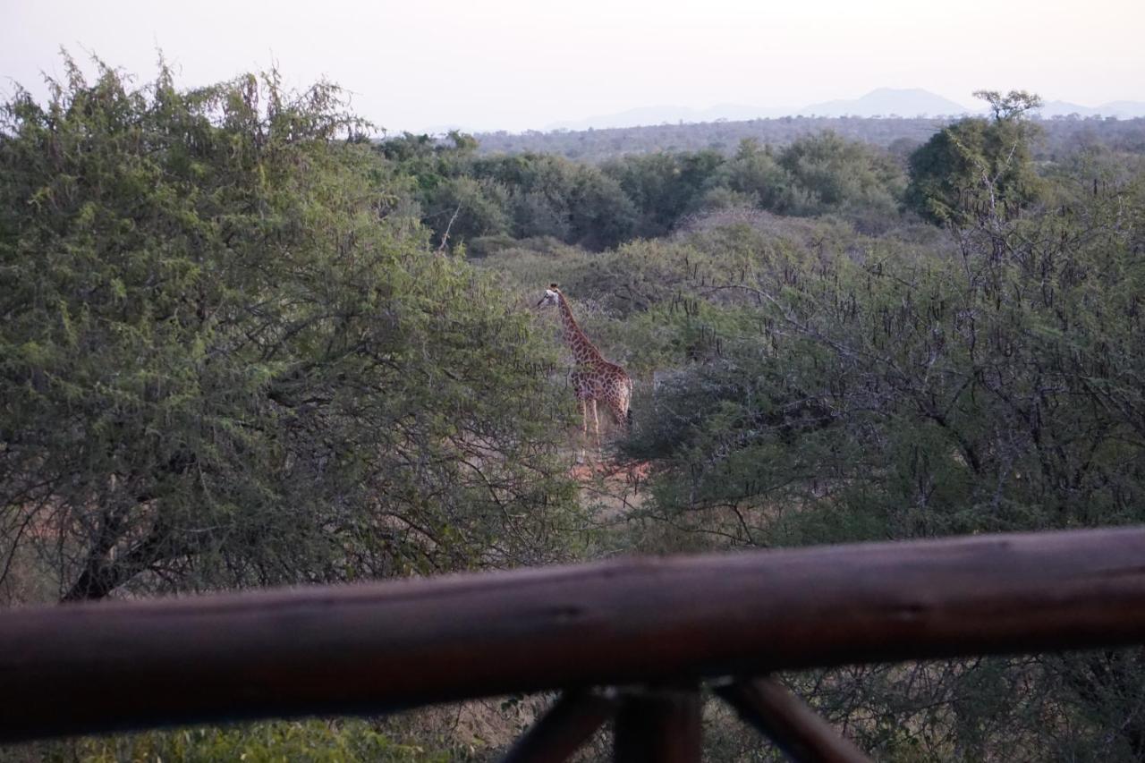 Giraffe Plains Villa Marloth Park Luaran gambar