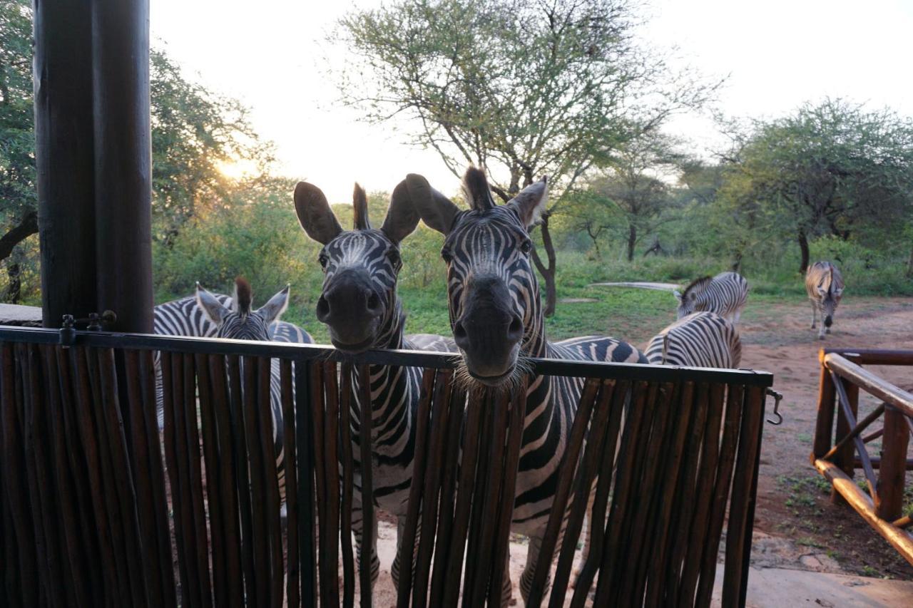 Giraffe Plains Villa Marloth Park Luaran gambar