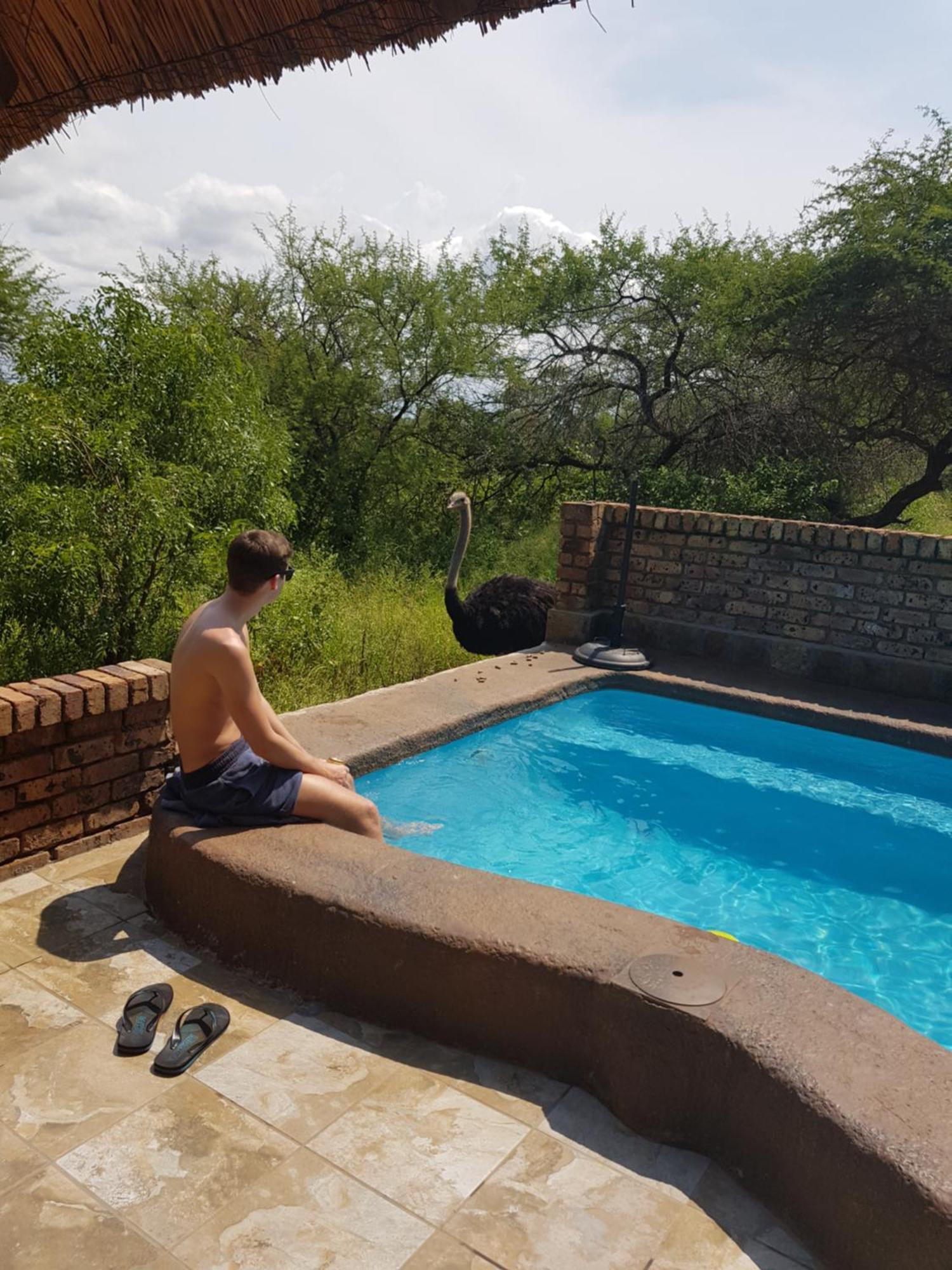 Giraffe Plains Villa Marloth Park Luaran gambar
